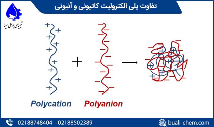 polyelectrolyte